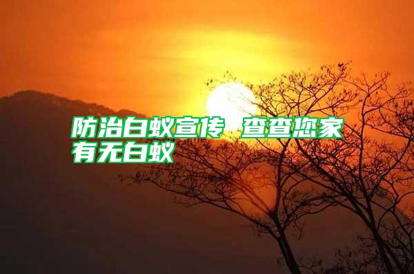 防治白蟻宣傳 查查您家有無(wú)白蟻