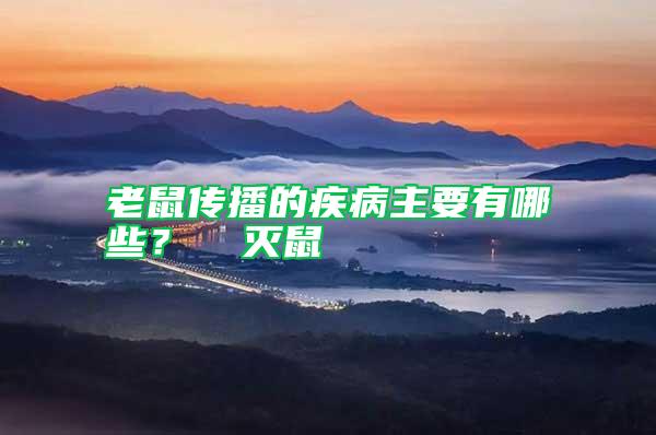 老鼠傳播的疾病主要有哪些? 滅鼠