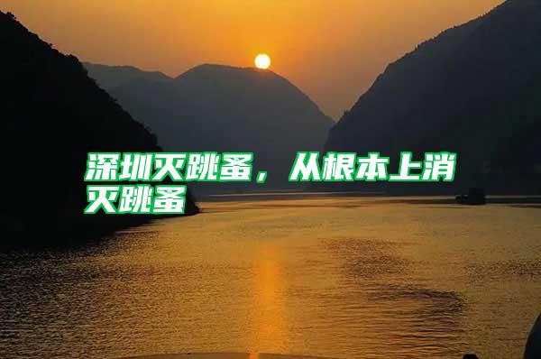 深圳滅跳蚤,從根本上消滅跳蚤