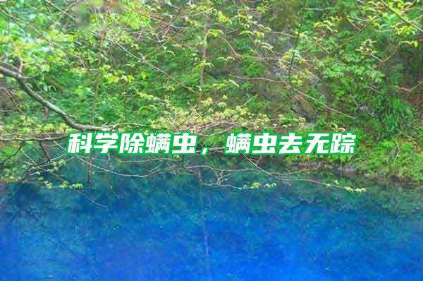 科學除螨蟲,螨蟲去無蹤