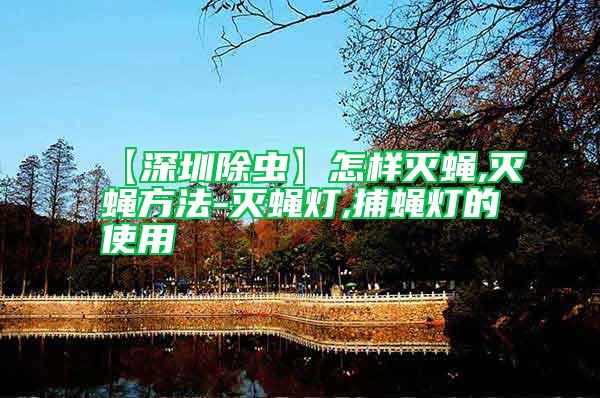【深圳除蟲】怎樣滅蠅,滅蠅方法-滅蠅燈,捕蠅燈的使用
