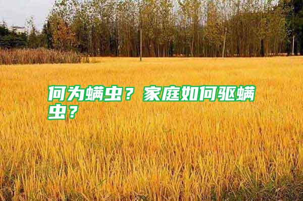 何為螨蟲？家庭如何驅螨蟲？