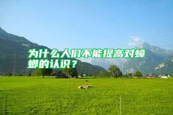 為什么人們不能提高對蟑螂的認識?