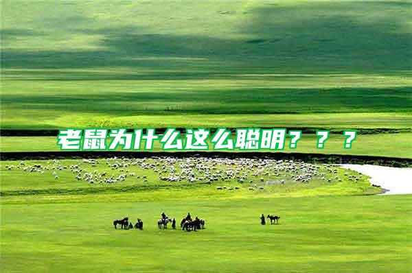 老鼠為什么這么聰明???