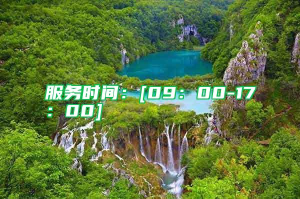 服務時間：[09：00-17：00]