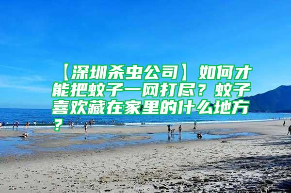 【深圳殺蟲公司】如何才能把蚊子一網(wǎng)打盡?蚊子喜歡藏在家里的什么地方?