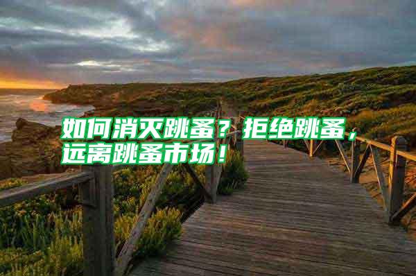 如何消滅跳蚤?拒絕跳蚤,遠離跳蚤市場!