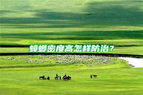 蟑螂密度高怎樣防治？