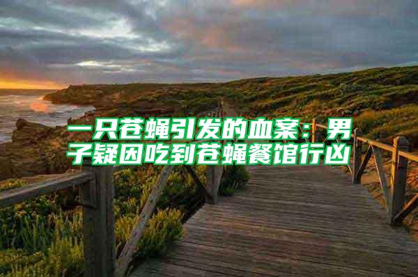 一只蒼蠅引發的血案:男子疑因吃到蒼蠅餐館行兇