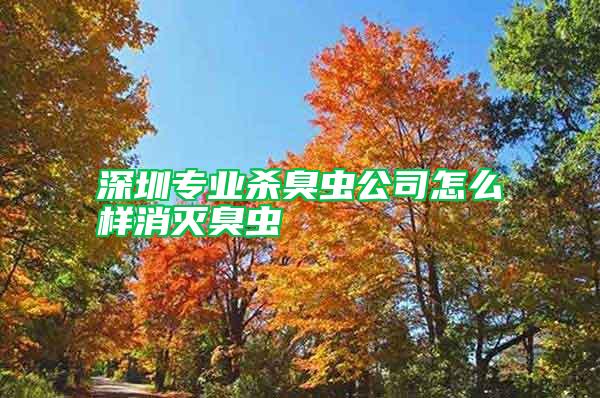 深圳專業殺臭蟲公司怎么樣消滅臭蟲