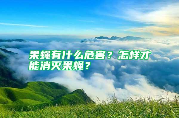 果蠅有什么危害?怎樣才能消滅果蠅?