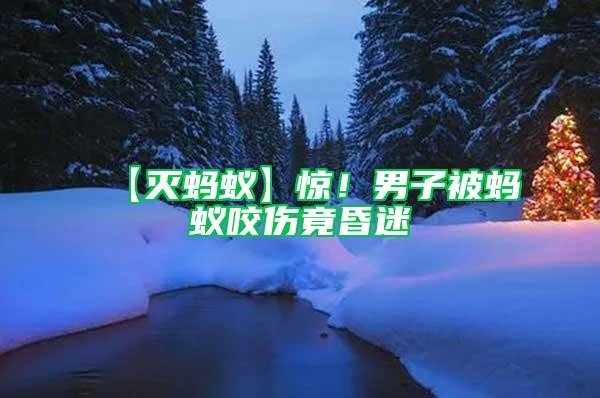 【滅螞蟻】驚!男子被螞蟻咬傷竟昏迷