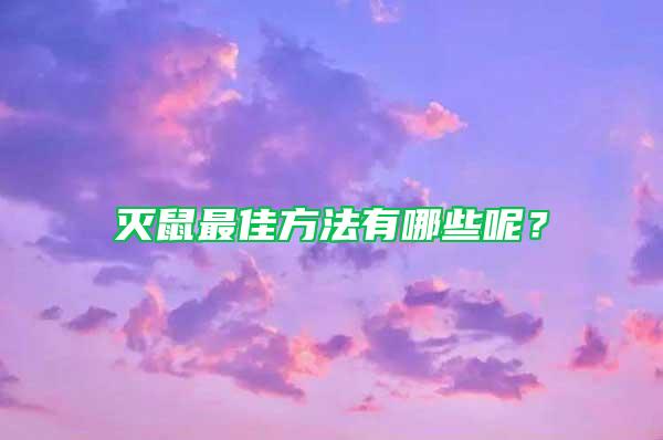 滅鼠最佳方法有哪些呢?