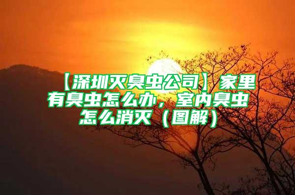 【深圳滅臭蟲公司】家里有臭蟲怎么辦,室內臭蟲怎么消滅(圖解)