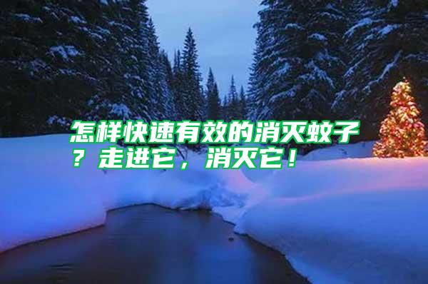 怎樣快速有效的消滅蚊子？走進它，消滅它！