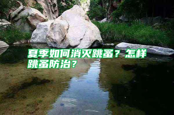 夏季如何消滅跳蚤？怎樣跳蚤防治？