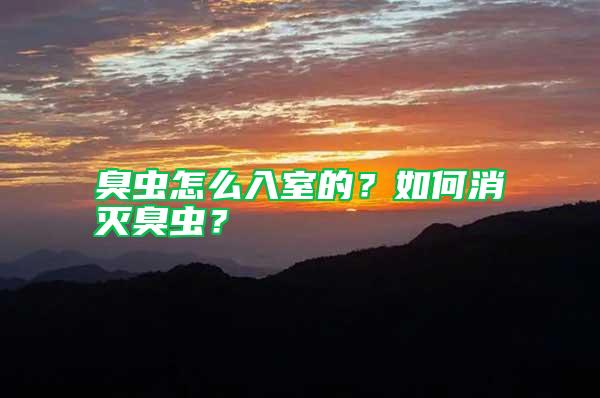 臭蟲怎么入室的？如何消滅臭蟲？