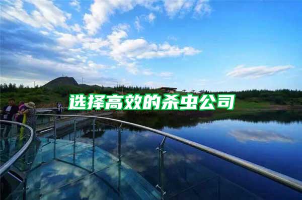 選擇高效的殺蟲公司