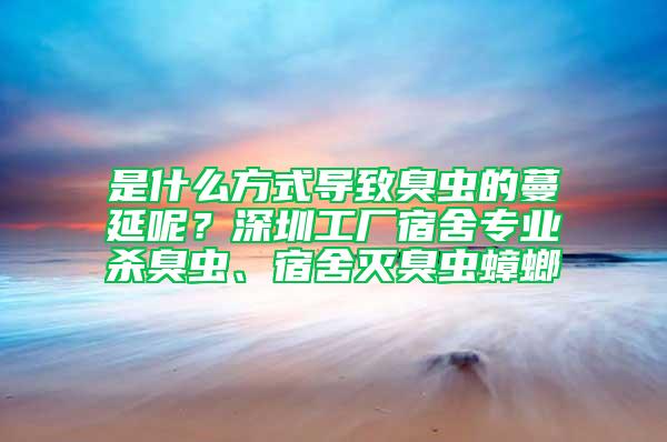 是什么方式導致臭蟲的蔓延呢?深圳工廠宿舍專業殺臭蟲、宿舍滅臭蟲蟑螂