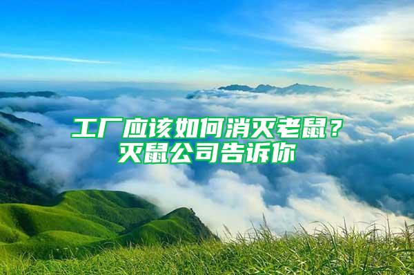 工廠應該如何消滅老鼠?滅鼠公司告訴你