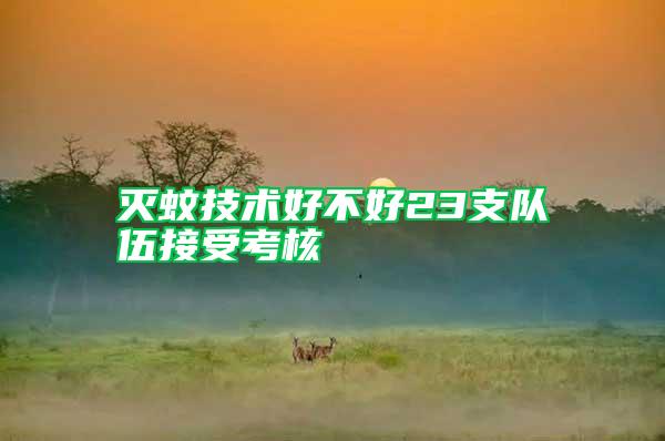 滅蚊技術好不好23支隊伍接受考核