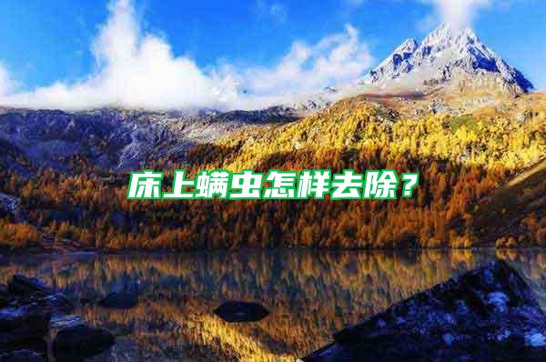 床上螨蟲怎樣去除?