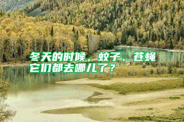 冬天的時候，蚊子、蒼蠅它們都去哪兒了？