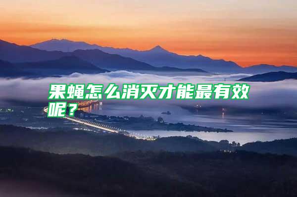 果蠅怎么消滅才能最有效呢?