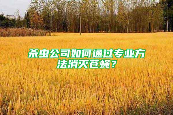 殺蟲公司如何通過專業(yè)方法消滅蒼蠅?