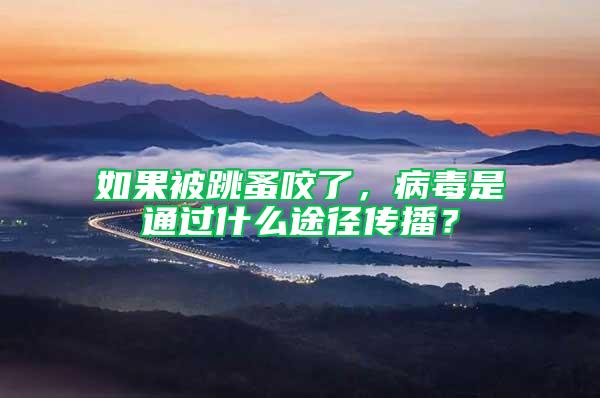 如果被跳蚤咬了,病毒是通過(guò)什么途徑傳播?