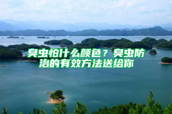 臭蟲(chóng)怕什么顏色?臭蟲(chóng)防治的有效方法送給你