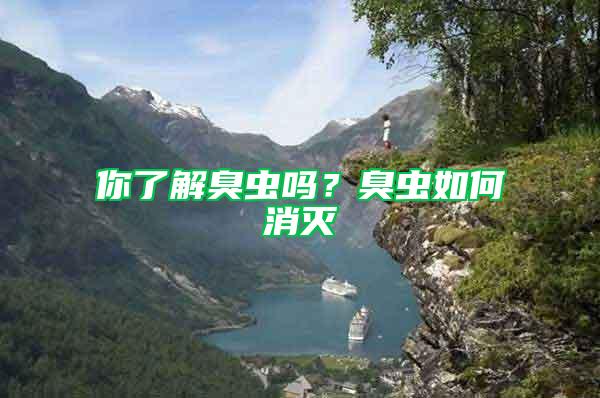 你了解臭蟲(chóng)嗎?臭蟲(chóng)如何消滅