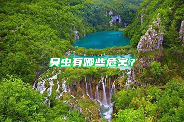 臭蟲有哪些危害?