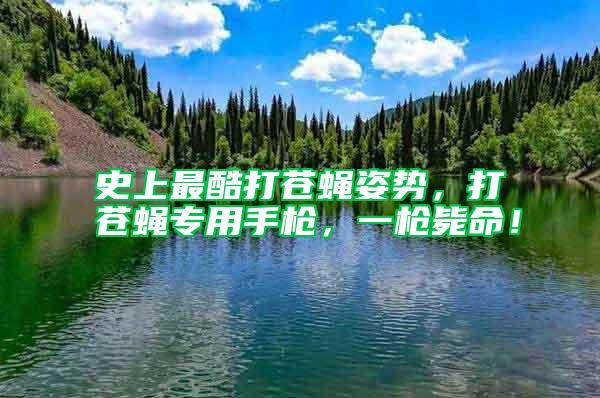 史上最酷打蒼蠅姿勢(shì)，打蒼蠅專(zhuān)用手槍?zhuān)粯寯烂?/></p>
             <p style=