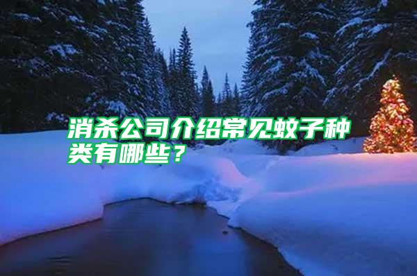 消殺公司介紹常見蚊子種類有哪些?