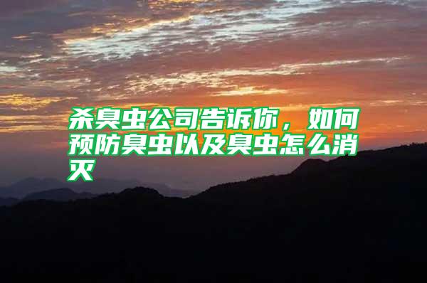 殺臭蟲(chóng)公司告訴你,如何預(yù)防臭蟲(chóng)以及臭蟲(chóng)怎么消滅