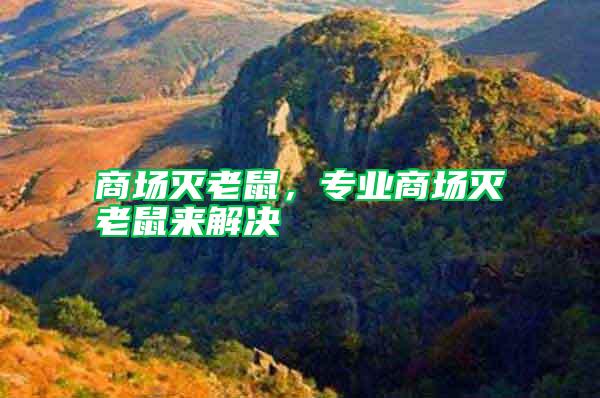 商場滅老鼠，專業商場滅老鼠來解決