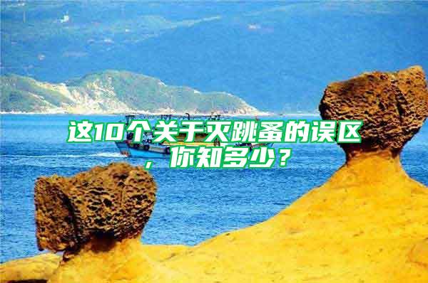 這10個(gè)關(guān)于滅跳蚤的誤區(qū),你知多少?