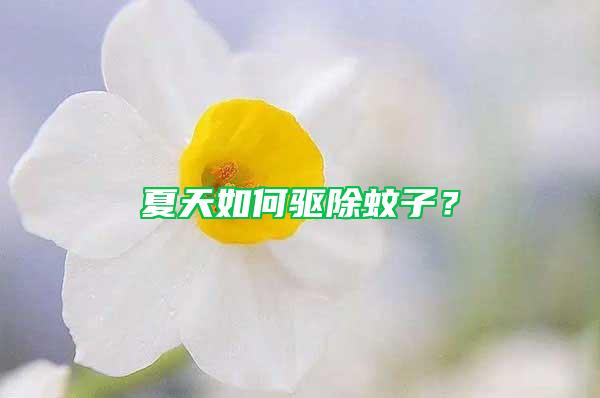 夏天如何驅除蚊子？