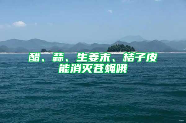 醋、蒜、生姜末、桔子皮能消滅蒼蠅哦