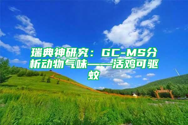 瑞典神研究:GC-MS分析動物氣味——活雞可驅蚊