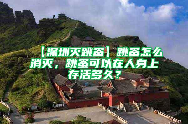 【深圳滅跳蚤】跳蚤怎么消滅,跳蚤可以在人身上存活多久?