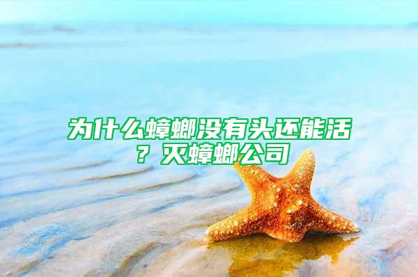 為什么蟑螂沒有頭還能活?滅蟑螂公司