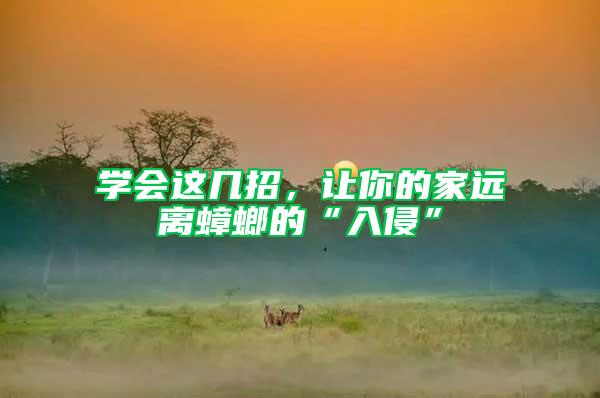 學會這幾招，讓你的家遠離蟑螂的“入侵”