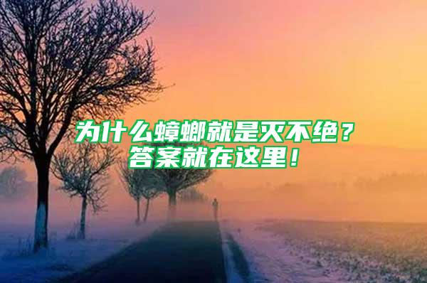 為什么蟑螂就是滅不絕？答案就在這里！