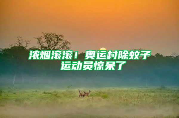 濃煙滾滾!奧運(yùn)村除蚊子 運(yùn)動(dòng)員驚呆了