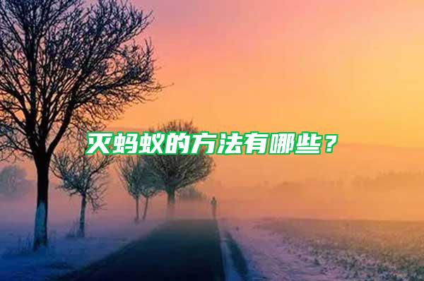 滅螞蟻的方法有哪些?