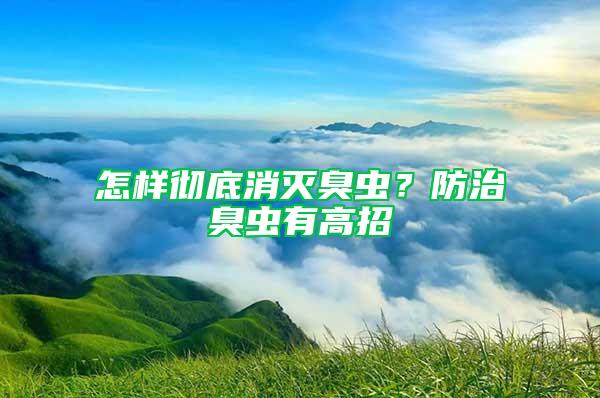 怎樣徹底消滅臭蟲?防治臭蟲有高招