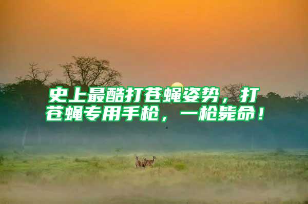 史上最酷打蒼蠅姿勢,打蒼蠅專用手槍,一槍斃命!