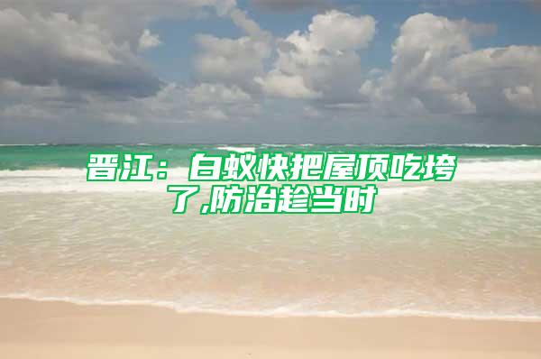 晉江:白蟻快把屋頂吃垮了,防治趁當時